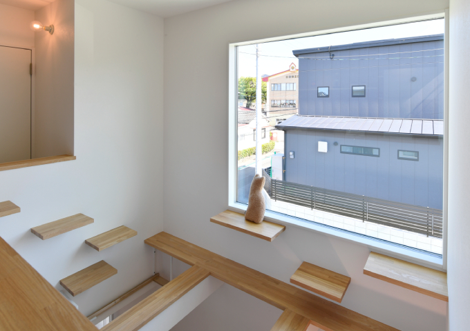 眺望キャットステップ