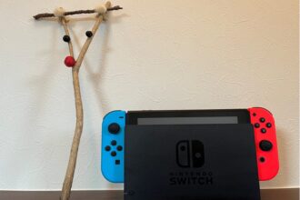 Switchが家にやってきた!