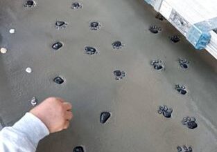 左官のお手伝い