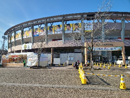 1日鷹（タカ）ガール?!