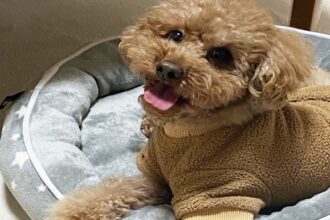 毎日、私の帰宅を待ってます…….