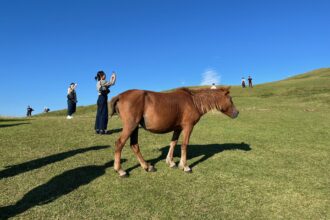 青と緑の絶景！